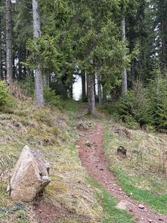 Foto von Gisbert Hahn entlang der Tour