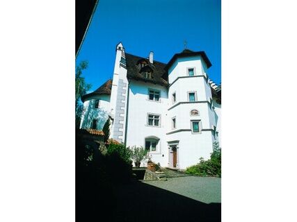 Schloss Hegi in Eigeltingen
