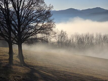 Fotografia z TwilightTea na trase