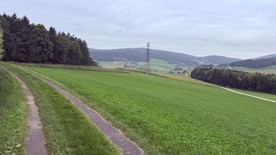 Foto von Johann Wögerbauer entlang der Tour