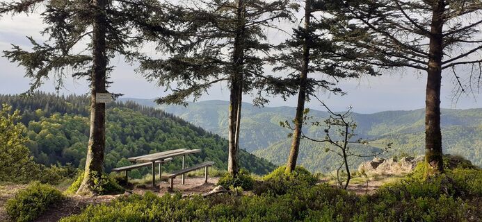 Photo de Bernard Piat le long du parcours