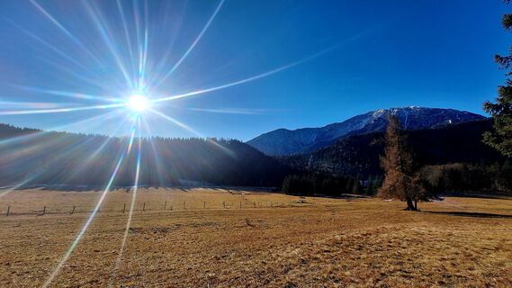 Fotografija s spletne strani Regina Fleischmann na poti
