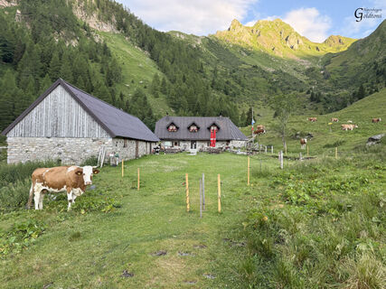 A164 Rifugio Piedro Fabiana - Nassfeld
