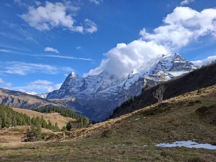 Фото с сайта Maurer Silvia во время экскурсии