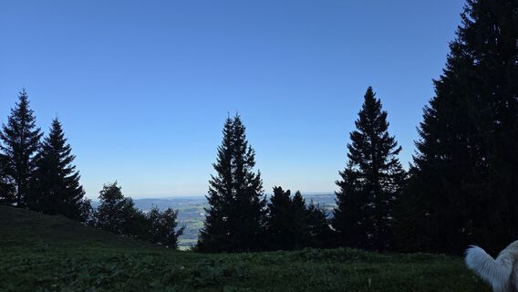 Fotografie z V Feurstein na trase