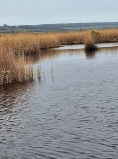 Fotografija s spletne strani Mimi na poti