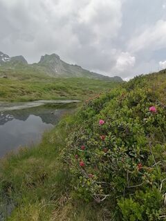 Foto van Turbinio langs de tour