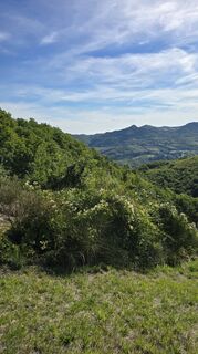 Fotografia z Vitaliy D. na trase