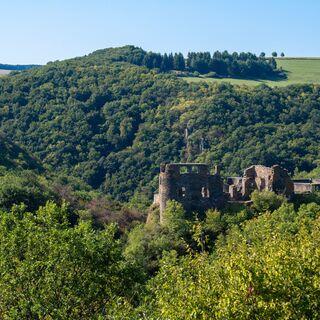 Die Schmidtburg
