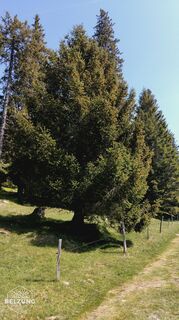 Photo de Jacky belzung le long du parcours