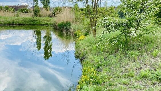 Watzelsdorf Wasserwelt
