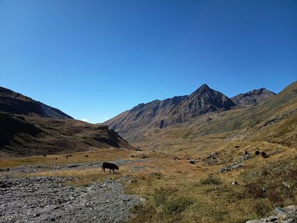 Photo de Aner le long du parcours