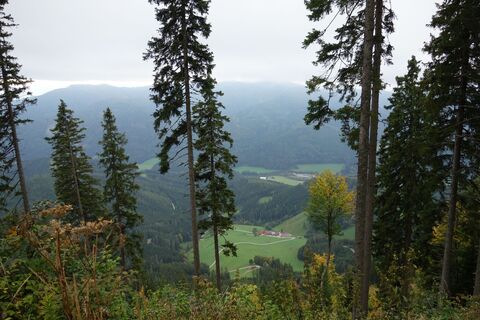 Blick in das Tal