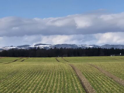 Foto de josef duermoser a lo largo del recorrido