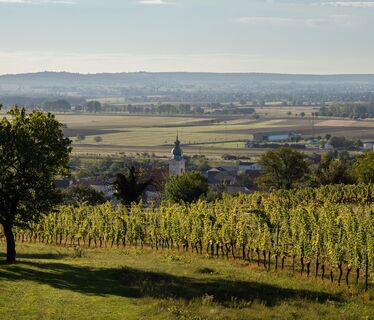 Blick auf Eisenstadt