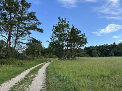 Foto de justasimpleguy a lo largo del recorrido