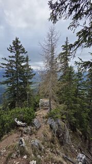 Photo de Moni le long du parcours