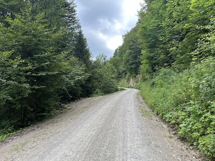 Fotografie de la justasimpleguy de-a lungul turului