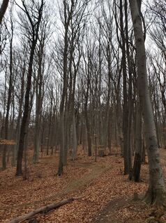 Photo de Georg B. Meier le long du parcours