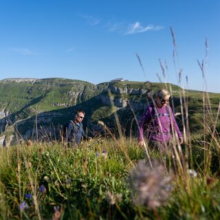 Panoramarundweg Rosenboden