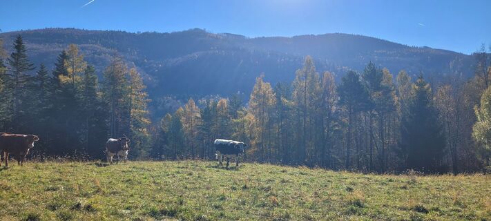 Fotografia z Werner Spitzer 1 na trase