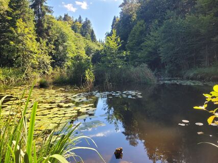 Foto von Susanne Linzbacher entlang der Tour