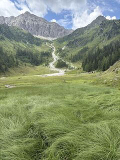 Fotografija s spletne strani MOUNTAINGOAT11 na poti