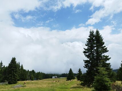 Foto von Martin Helminger entlang der Tour