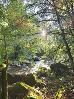 Fotografia z ReginaSt na trase