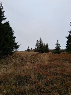 Foto von Daniela Eckert entlang der Tour