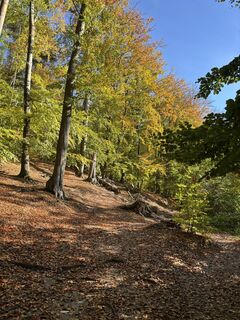 Foto von Katja Zerna entlang der Tour