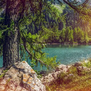 Lac de Derborence