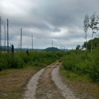 Photo de Steffen Aberle le long du parcours