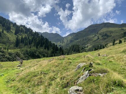 Photo de Koen De Wit le long du parcours