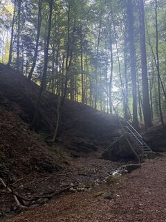 Photo de Nico ?️ le long du parcours