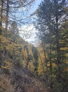 Photo de Helen le long du parcours