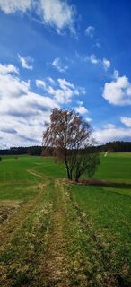Fotografie z ReginaSt na trase