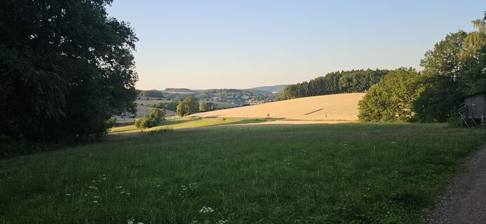 Foto de claudo a lo largo del recorrido