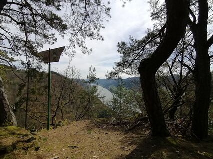 Foto von Wanderfux entlang der Tour