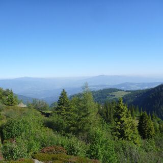 Blick auf das Lavanttal