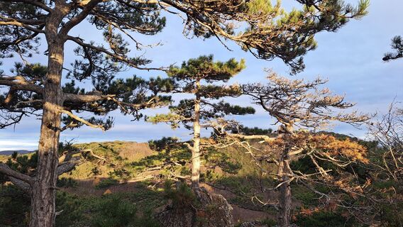 Fotografia z monika pomahac 1 na trase