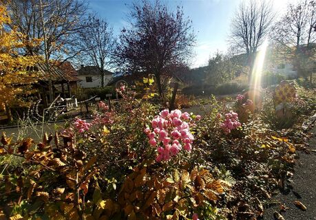 Parkanlage in Wenigzell_Wenigzell_Oststeiermark