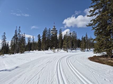 Fotografija s spletne strani Brigitta Madár na poti