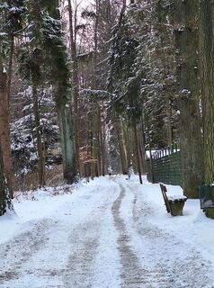 Foto von Mimi entlang der Tour