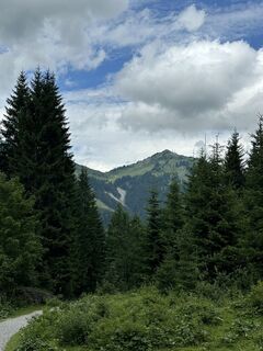 Photo de Cyrill Bischof le long du parcours