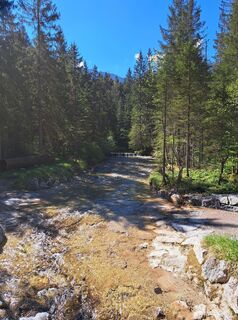 Fotografie de la Sandra Stemplinger de-a lungul turului