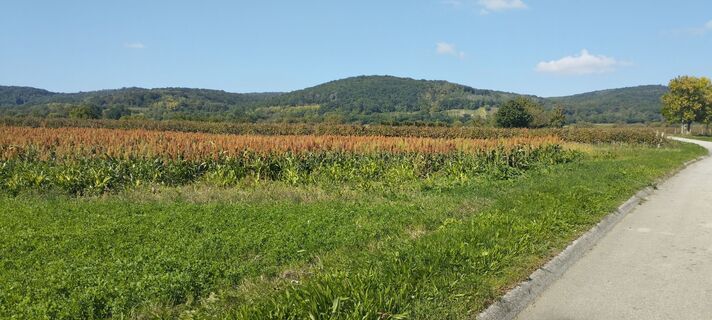 Foto de Christine Fischer a lo largo del recorrido