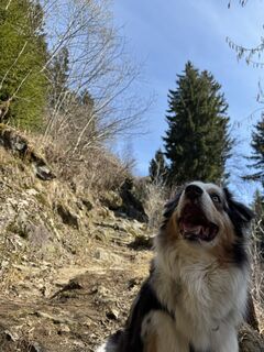 Fotografija s spletne strani Marco Wolf na poti
