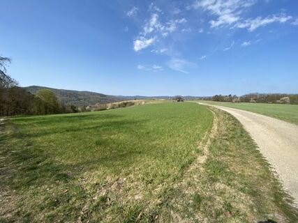 Fotografia z Attila Mihalcz na trase