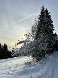 Fotografie z Herta Hauswirth na trase